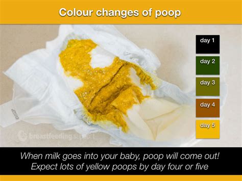 orange baby poop